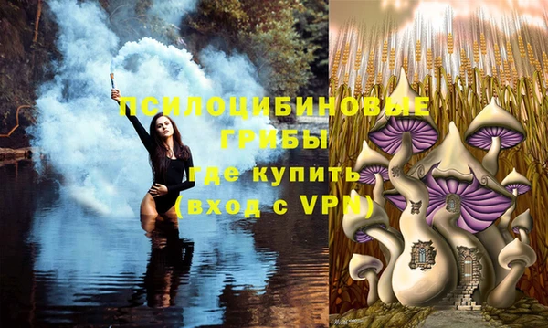 прущая мука Богородицк